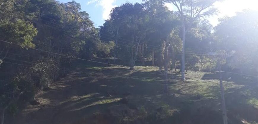 Solar das Bromélias