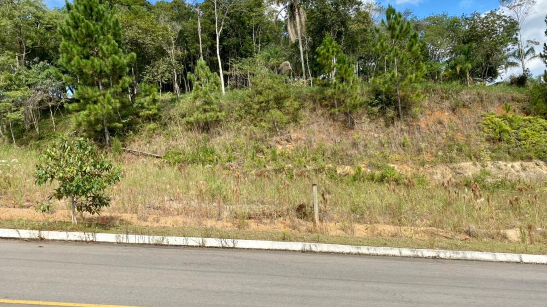 Terreno