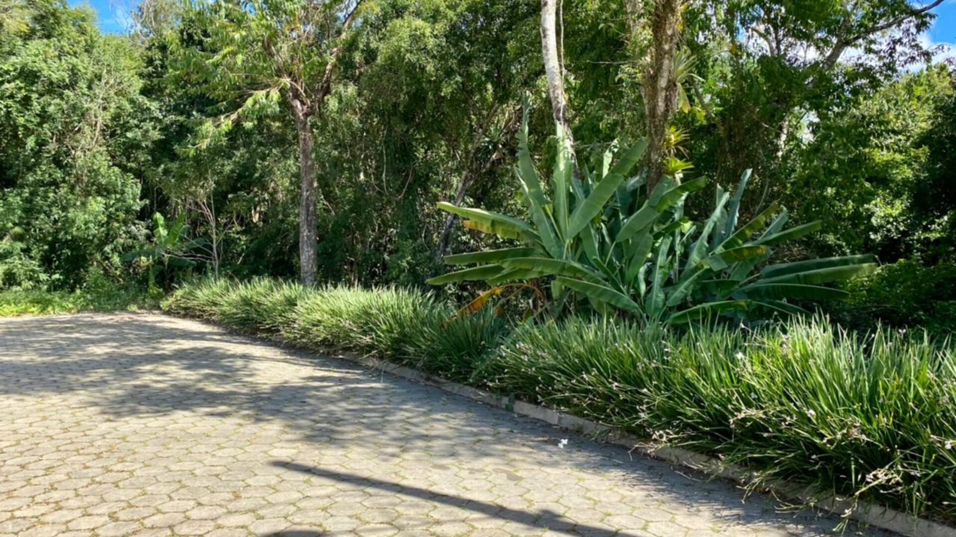 Terreno no Sumaré