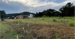Loteamento Vale Sul / Terrenos