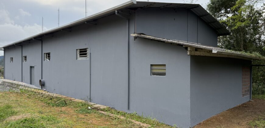 Galpão com amplo terreno Galpão com amplo terreno