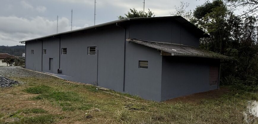 Galpão com amplo terreno Galpão com amplo terreno
